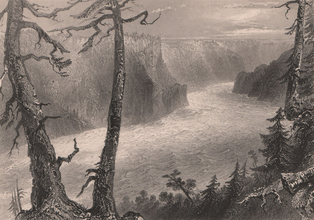 CANADA. Banks of the River Niagara'. Niagara Gorge. Ontario/NY. BARTLETT 1842